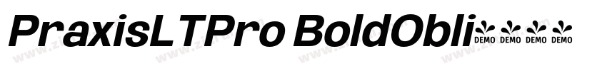 PraxisLTPro BoldObli字体转换